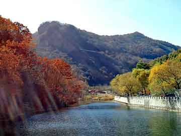 新澳天天开奖资料大全旅游团，王祖贤 林建岳